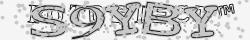 Saisissez les caractères de l'image