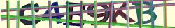 Saisissez les caractères de l'image