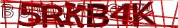 Saisissez les caractères de l'image