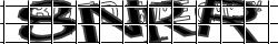 Saisissez les caractères de l'image