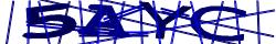 Saisissez les caractères de l'image