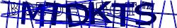 Saisissez les caractères de l'image