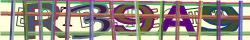 Saisissez les caractères de l'image
