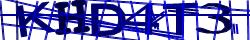 Saisissez les caractères de l'image