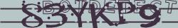 Saisissez les caractères de l'image